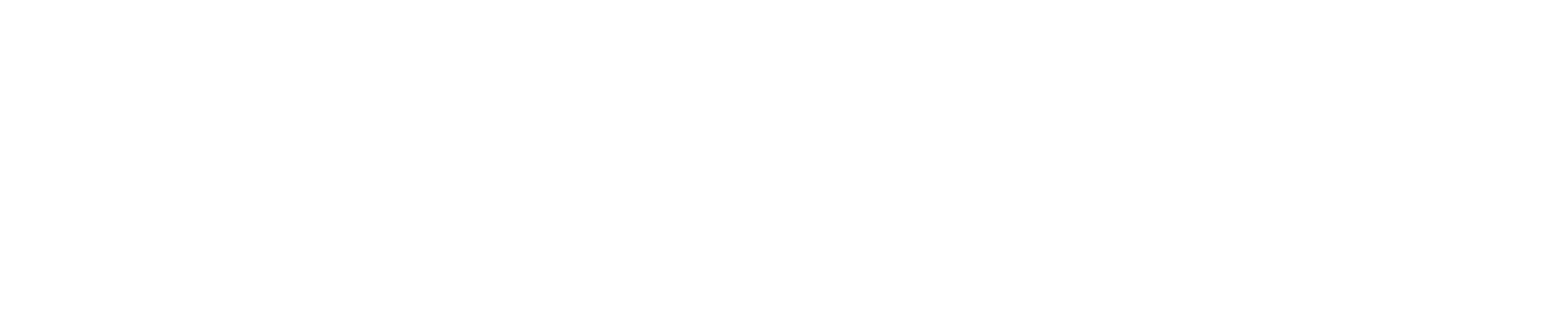 rimini logo